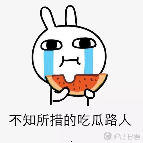 娱乐吃瓜酱6字诀,揭秘娱乐圈幕后真相